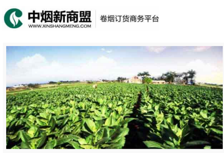 中烟新商盟卷烟订货商务平台-易彩堂app