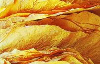 易彩堂app烟草行业解决方案V6-易彩堂app