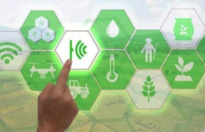 易彩堂app海岳智粮·粮企云产品解决方案