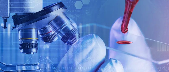 易彩堂app网络+银丰生物集团 打造科研创新“加速度”