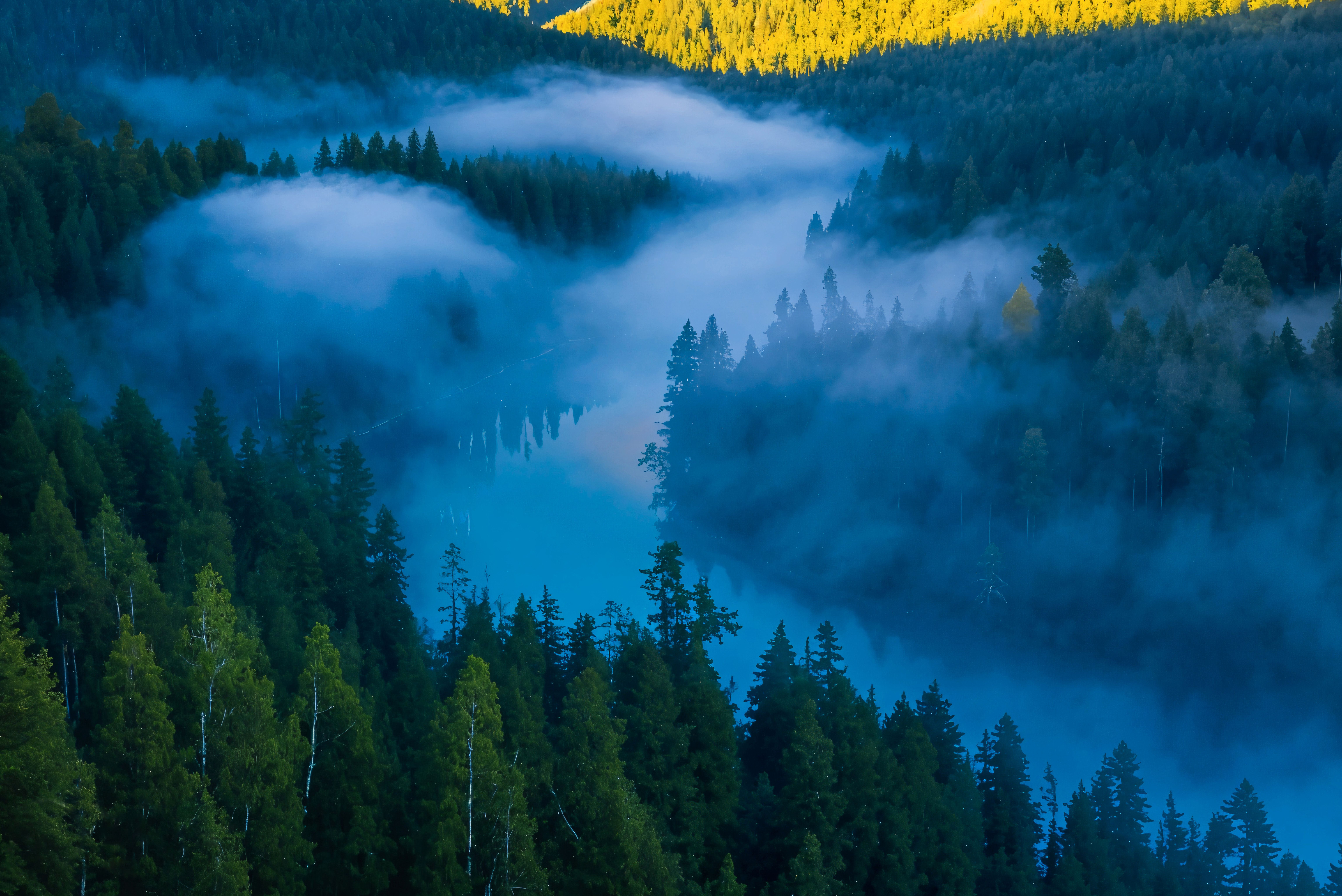 易彩堂app林业大数据及行业应用解决方案